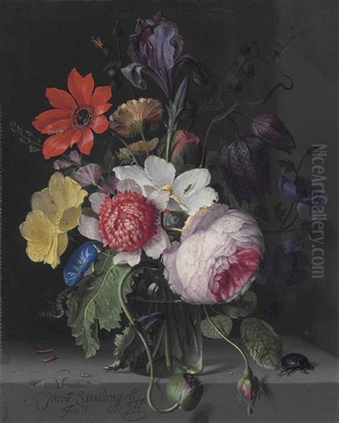 A Peony, An Iris, A Poppy, Anemones, Morning Glory And Other Flowers, In A Glass Vase, With A Caterpillar, A Beetle And Other Insects, On A Stone Ledge Oil Painting by Jacob van Walscapelle