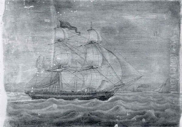 The Barque 