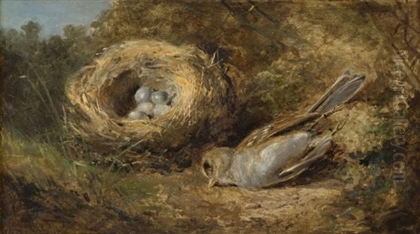 Bird By Its Nest Oil Painting by Juan Buckingham Wandesforde