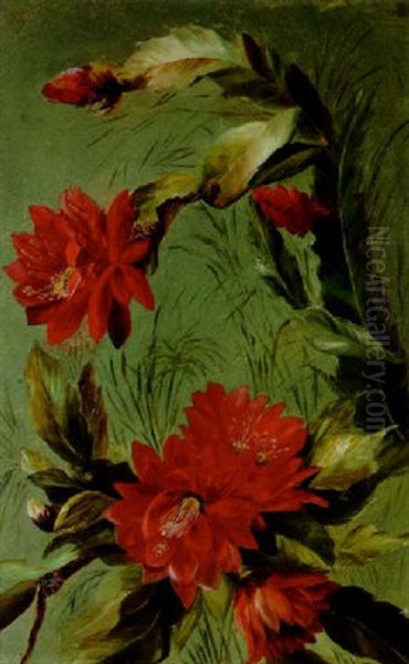 Christmas Cactus Oil Painting by Juan Buckingham Wandesforde