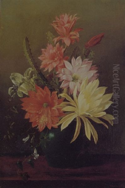 Still Life With Cactus Blooms Oil Painting by Juan Buckingham Wandesforde