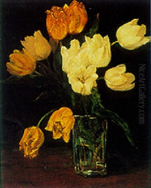 Cream And Yellow Tulips In A Vase Oil Painting by Marie Wandscheer