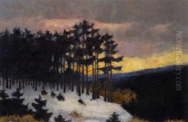 Landschaft Bei Abendrot Oil Painting by Albert Evard Wang