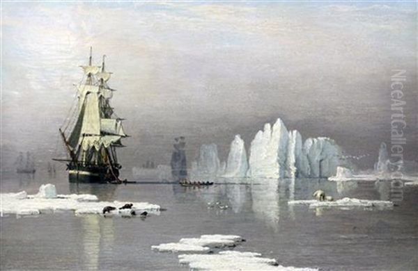 Sailing Ships In The Arctic With Polar Bears And Seals Oil Painting by John Ward Of Hull