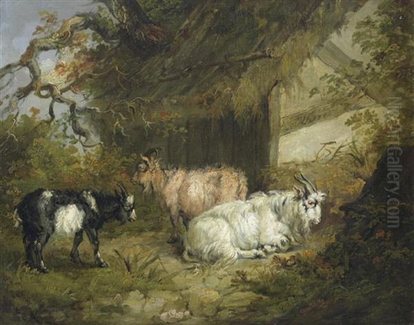 Goats By A Barn by James Ward