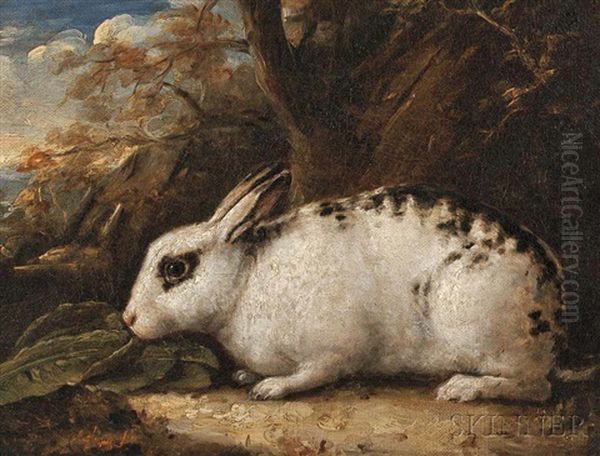 Black-spotted Rabbit In A Landscape Oil Painting by James Ward