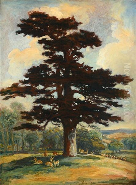 Herd Of Deer Resting Beneath The Shade Of A Cedar Tree On A Rise At Needwood Park, Staffordshire Oil Painting by James Ward