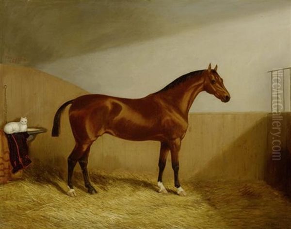 Braunes Pferd Mit Katze In Einem Stall Oil Painting by Martin Theodore Ward