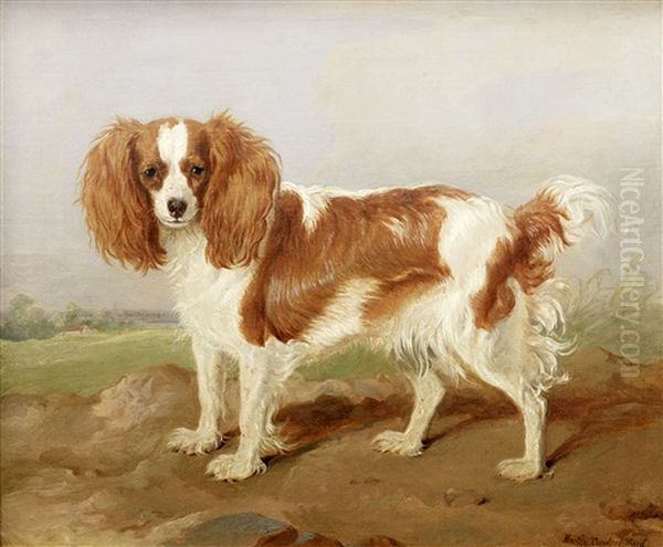 A Brown And White Spaniel In A Landscape Oil Painting by Martin Theodore Ward