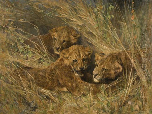 Lion Cubs Oil Painting by Arthur Wardle