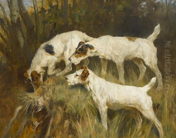 Three Wire Fox Terriers Working A Hole Oil Painting by Arthur Wardle