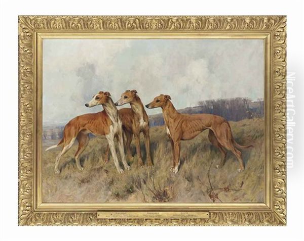 Colonel J. Dennis's Greyhounds Distingue, Dendraspis And Dilwyn Oil Painting by Arthur Wardle