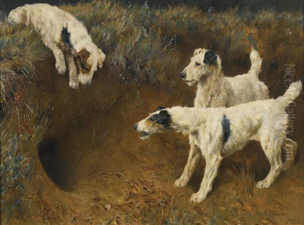 Wire Fox Terriers By A Badger Set Oil Painting by Arthur Wardle