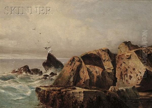 Rocks And Gulls, Possibly Mt. Desert Oil Painting by Andrew W. Warren