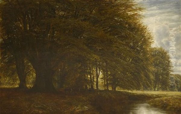 A Wooded Landscape, Burnham Beeches Oil Painting by Edmund George Warren