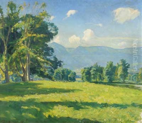 Sommerliche Voralpenlandschaft Oil Painting by Artur Wasner