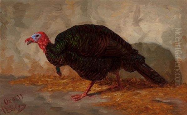 Turkey Oil Painting by Marcus A. Waterman