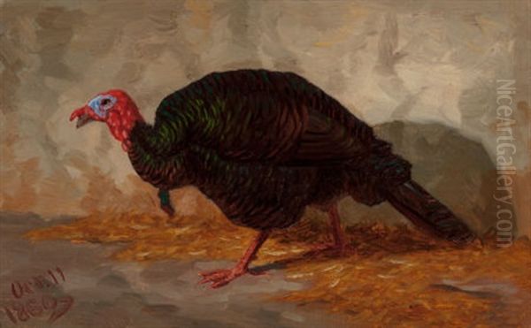 Turkey, 1860 Oil Painting by Marcus A. Waterman