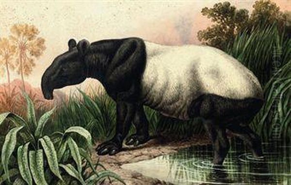 Malayan Tapir Oil Painting by Charles Edward Snr Brittan