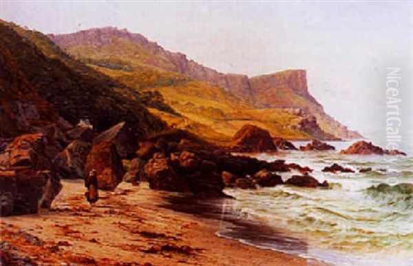 Murlough Bay And Fair Head, Coast Of Antrim Oil Painting by Bartholomew Colles Watkins