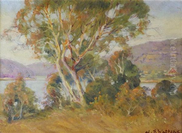 Pittwater, Nsw Oil Painting by John Samuel Watkins