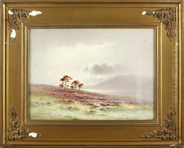 Sheep Grazing In A Misty Landscape, Lochrannoch Oil Painting by Charles Edward Ii Brittan