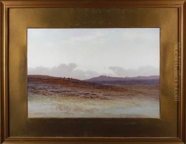 Dartmoor Landscape Oil Painting by Charles Edward Ii Brittan