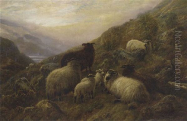 Highland Sheep Oil Painting by Robert F. Watson