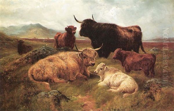 Highland Cattle Resting Oil Painting by Robert F. Watson