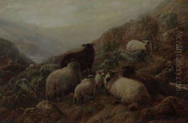 Highland Sheep Oil Painting by Robert F. Watson