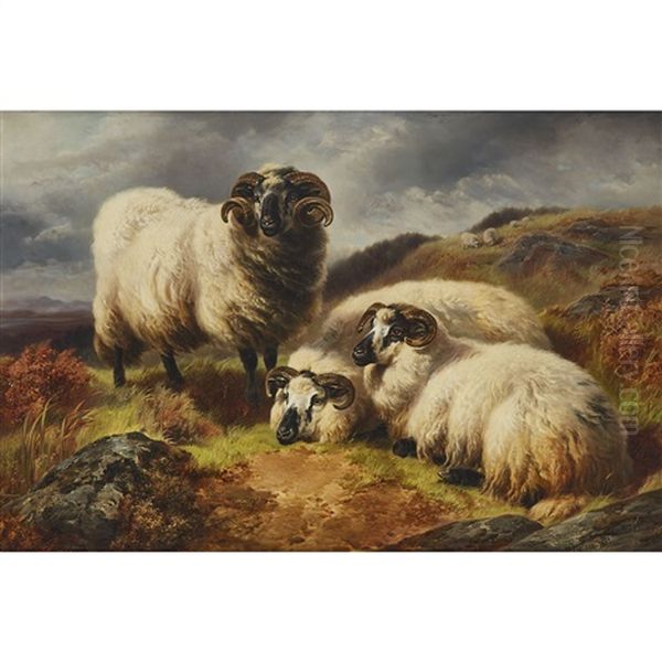 Long Horn Sheep In A Landscape Oil Painting by William R.C. Watson