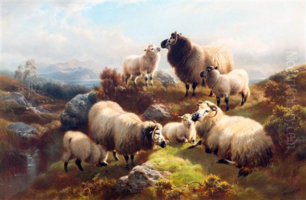 Sheep In The Highlands Oil Painting by William R.C. Watson