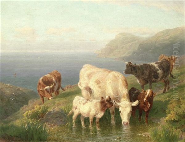 Cattle On A Cornish Coast Oil Painting by William R.C. Watson