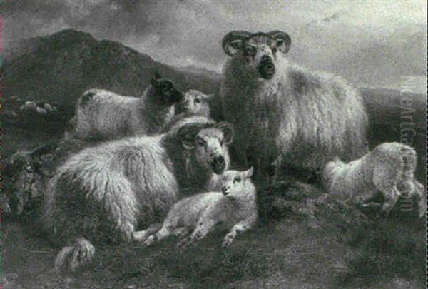 Sheep In The Highlands Oil Painting by William Stewart Watson