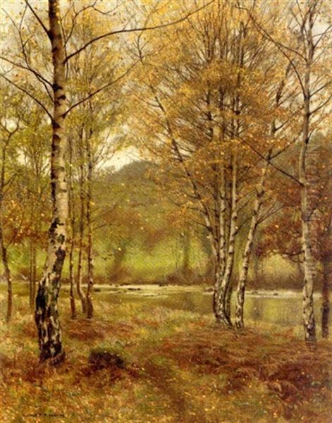 Silver Birch, Bettwys-y-coed, Wales Oil Painting by James Thomas Watts