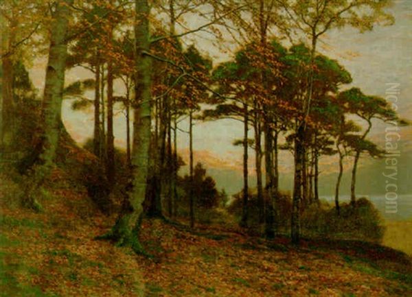 Evening Among The Pines Oil Painting by James Thomas Watts