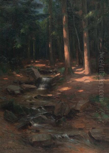 Stimmungsvolle Waldlandschaft Mit Bach Oil Painting by Carl Watzelhan