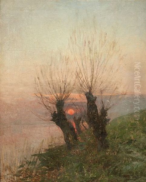 Coucher De Soleil Sur Les Saules Tetards Oil Painting by Camille Wauters