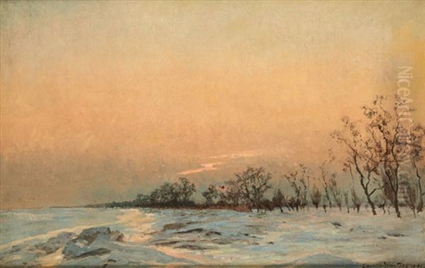 Coucher De Soleil Sur Un Paysage Enneige Oil Painting by Camille Wauters