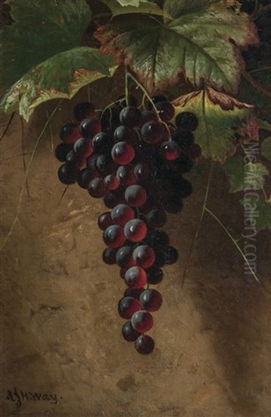 Still Life With Grapes Oil Painting by Andrew John Henry Way