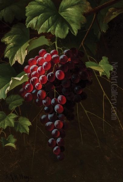 Grapes On The Vine Oil Painting by Andrew John Henry Way