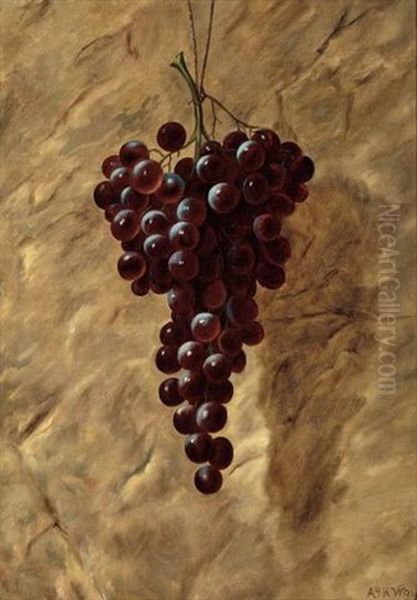 Red Grapes And Green Grapes (2) Oil Painting by Andrew John Henry Way