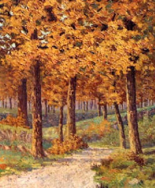 A Golden Grove Oil Painting by Hedley Waycott