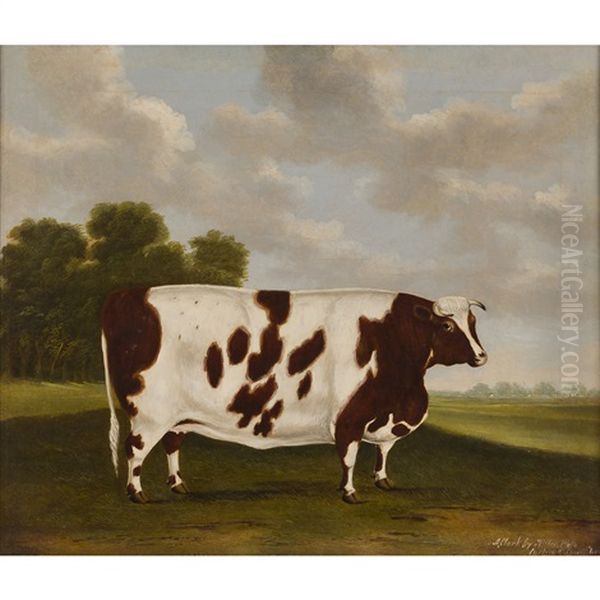 Pigeon, The Prize Cow Of Mr Price, 1816 Oil Painting by Thomas Weaver