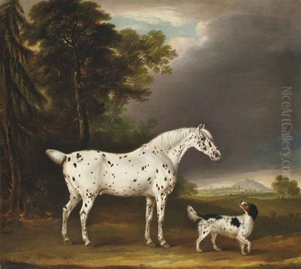 Cheval Appaloosa Et Epagneul Oil Painting by Thomas Weaver