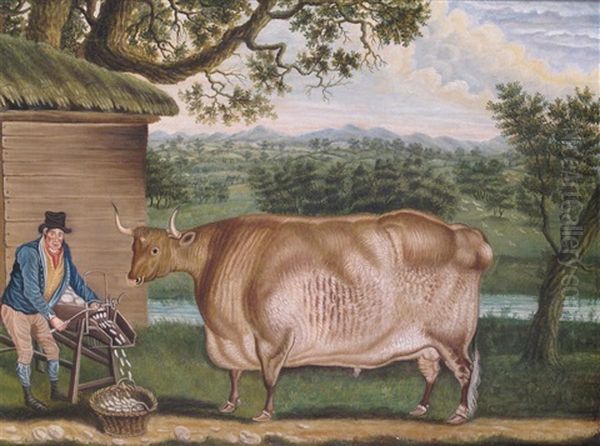 A Farmer Feeding His Prize Bull With A Mangelwurlitzer Oil Painting by Thomas Weaver