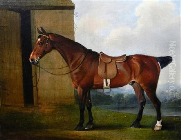 The Earl Of Powis's Racehorse Standing By A Stable In An Extensive Wooded Landscape Oil Painting by Thomas Weaver