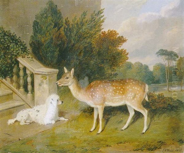 A Favourite Doe With A Poodle In A Park Oil Painting by Edward Webb