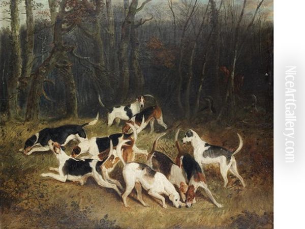 Hounds In A Covert Oil Painting by Edward Walter Webb