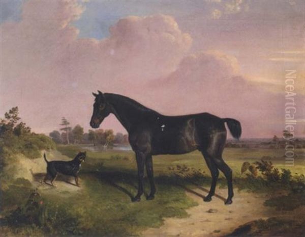 A Dark Bay Pony With A Terrier In A Landscape Oil Painting by Edward Walter Webb